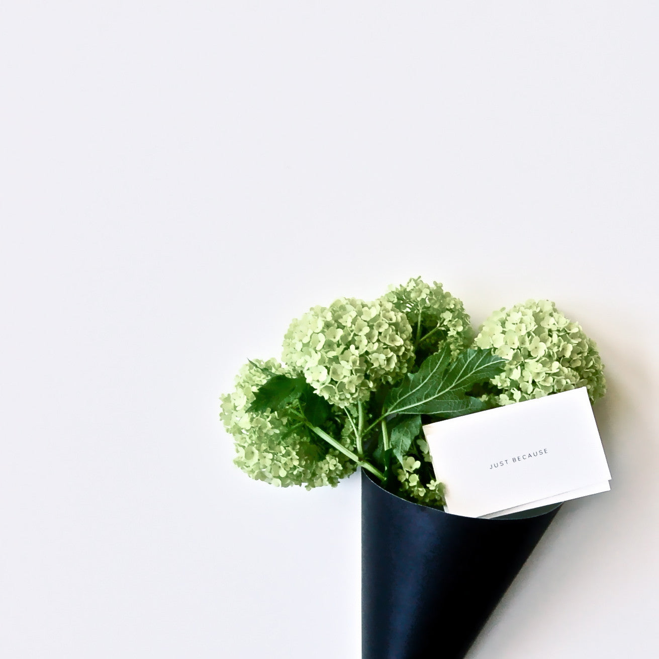 All Occasion Bouquet Enclosures